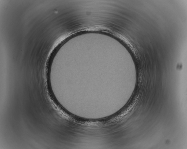 X0000097921122200804041518