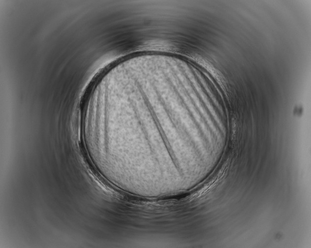 X0000097921123200804041518