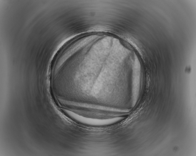 X0000097921124200804041518