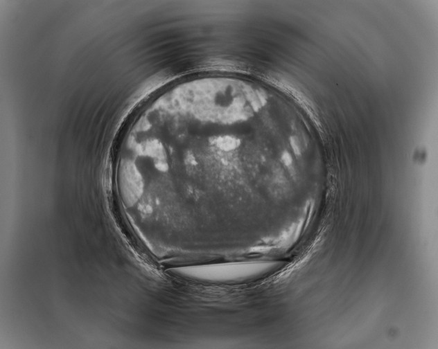 X0000097921125200804041518