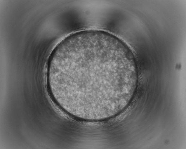 X0000097921126200804041518