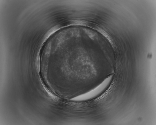 X0000097921127200804041518