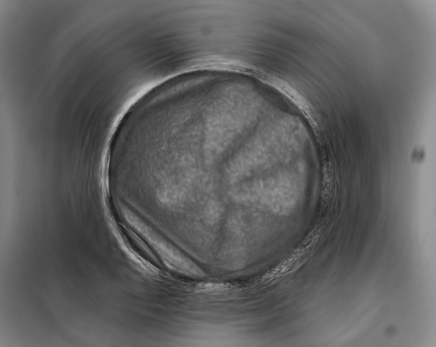 X0000097921128200804041518