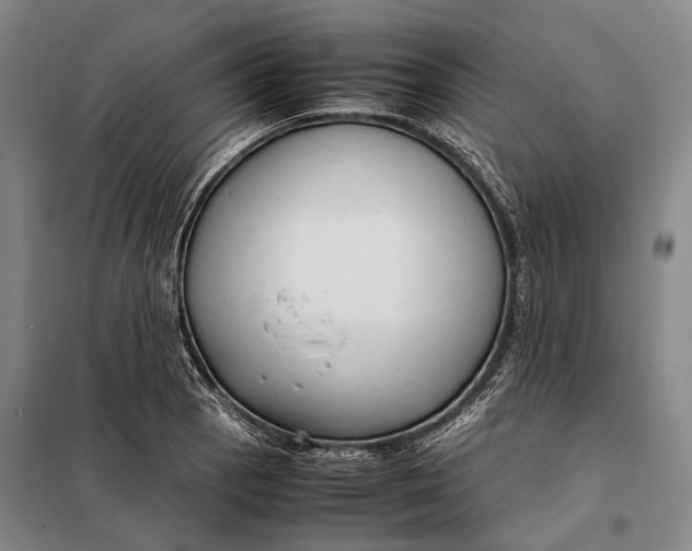 X0000097921129200804041518