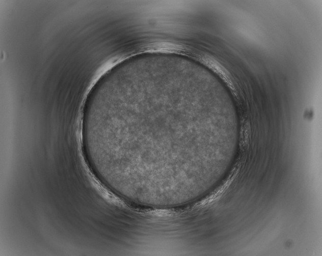 X0000097921130200804041518