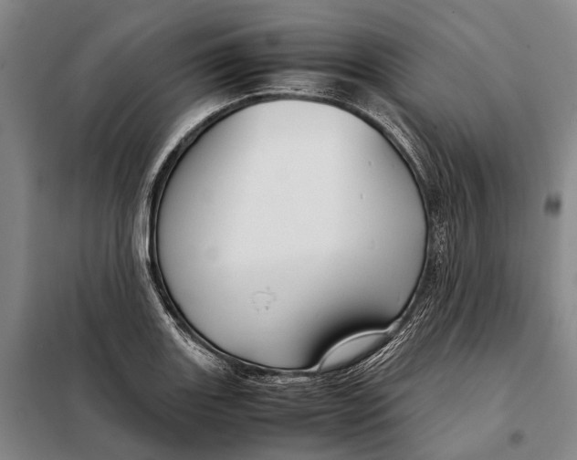 X0000097921131200804041518