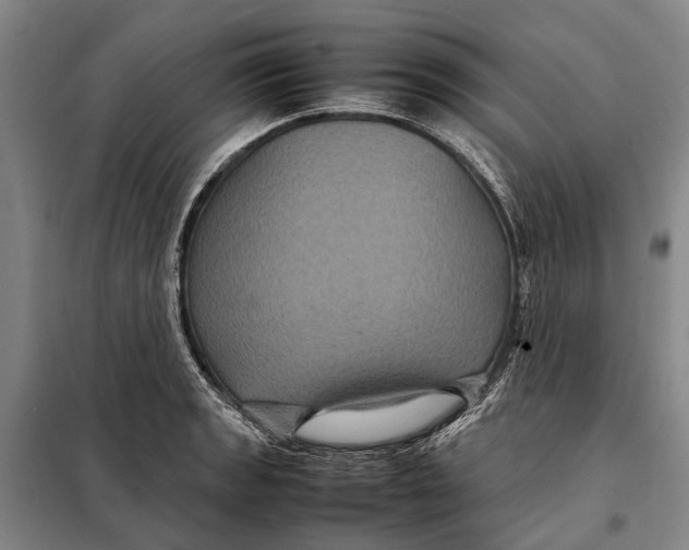 X0000097921133200804041518