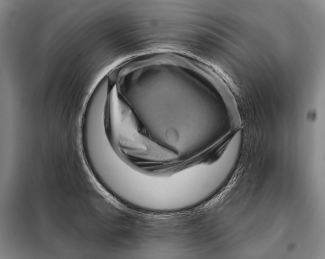 X0000097921134200804041518