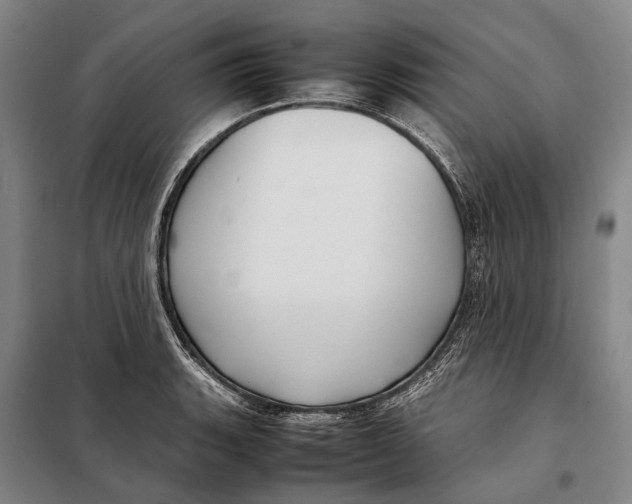 X0000097921135200804041518