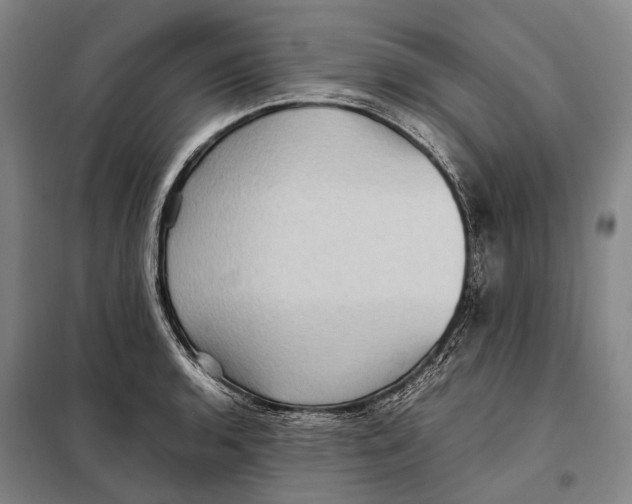 X0000097921136200804041518