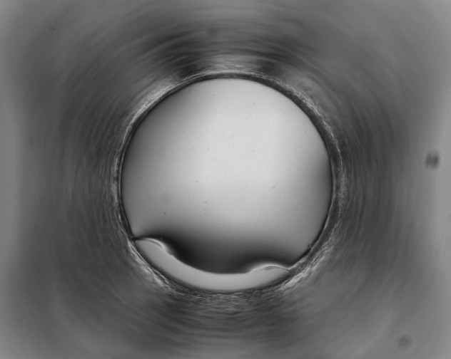 X0000097921137200804041518