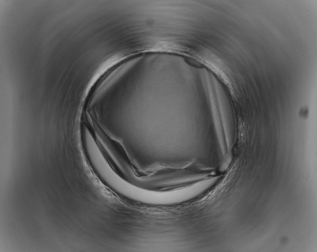 X0000097921138200804041518