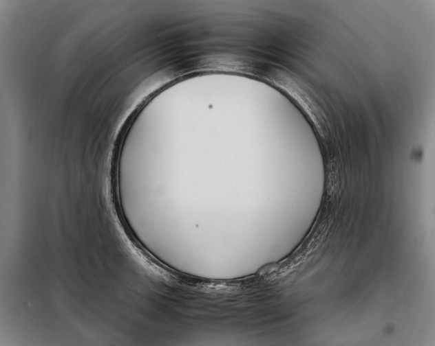 X0000097921139200804041518