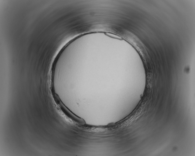 X0000097921140200804041518