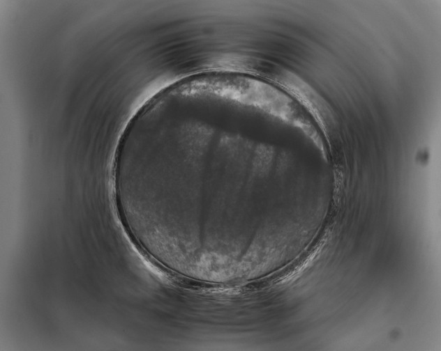 X0000097921141200804041518