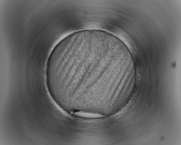 X0000097921142200804041518