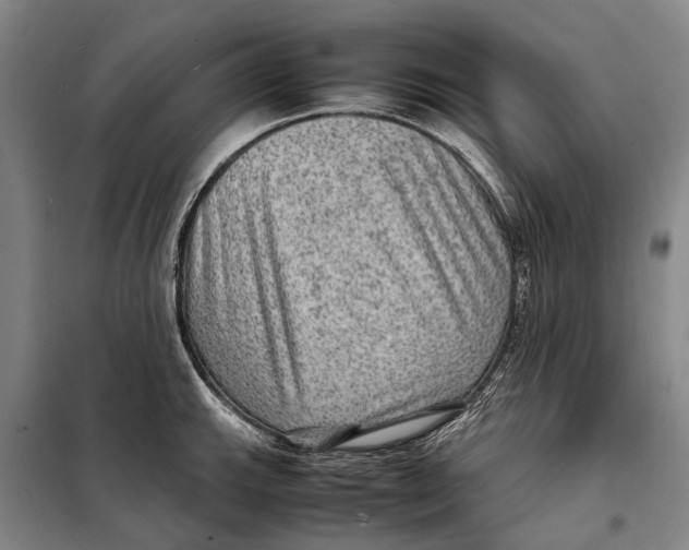 X0000097921143200804041518