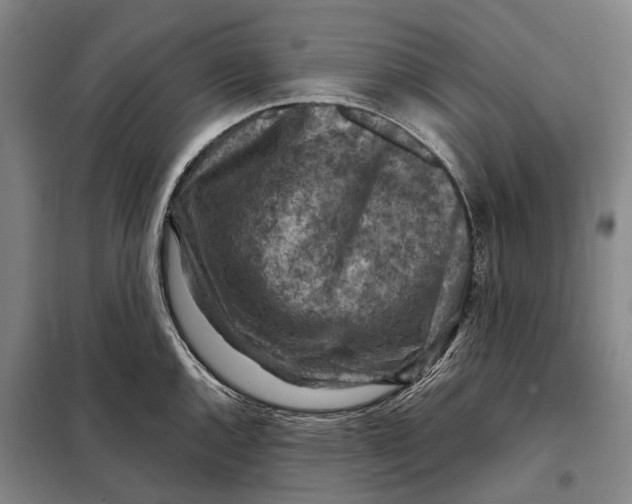 X0000097921144200804041518