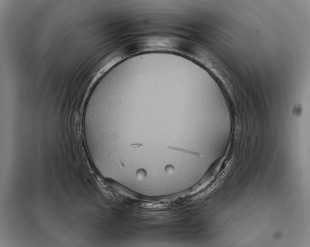 X0000097921145200804041518