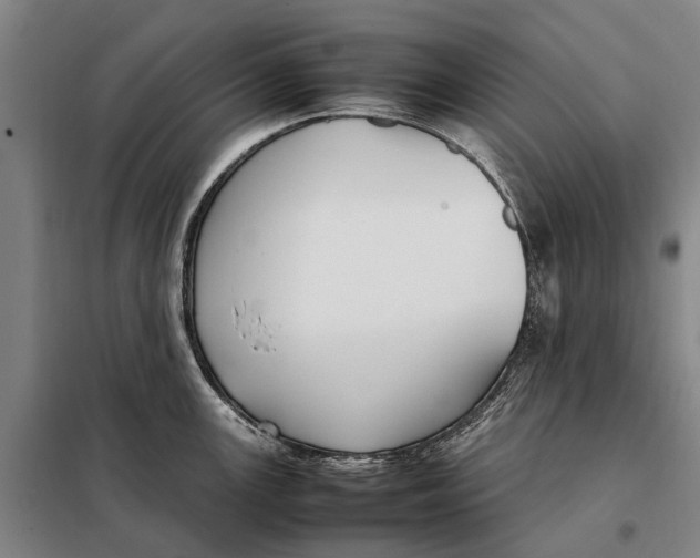 X0000097921147200804041518