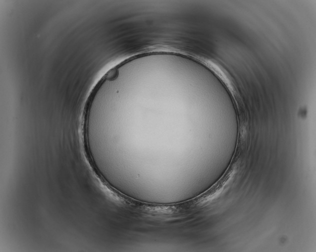 X0000097921149200804041518