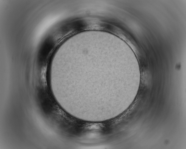 X0000097921150200804041518