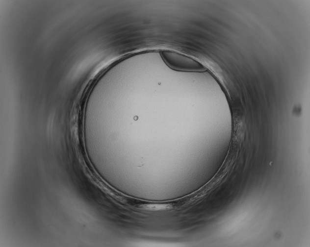 X0000097921151200804041518