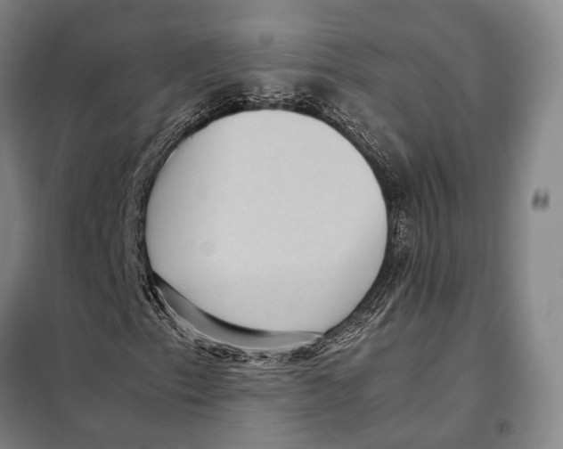 X0000097921153200804041518