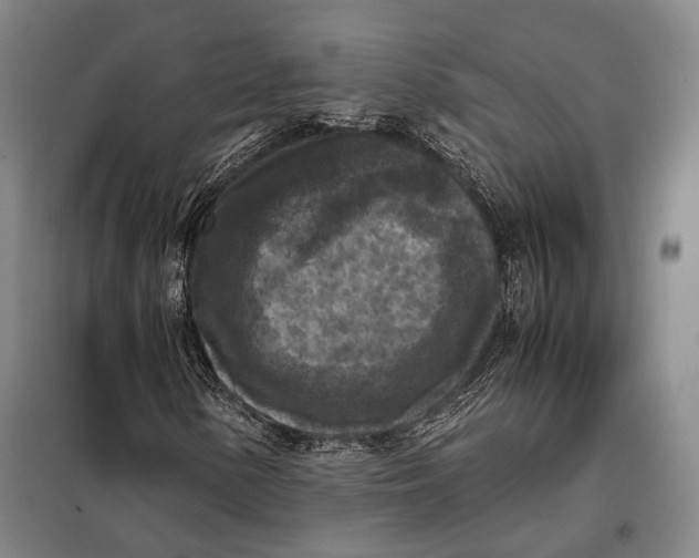 X0000097921154200804041518