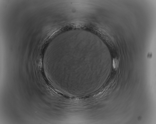 X0000097921155200804041518