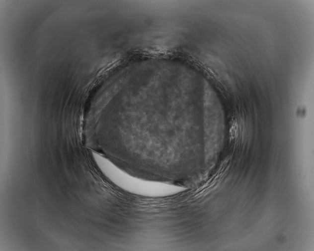 X0000097921156200804041518