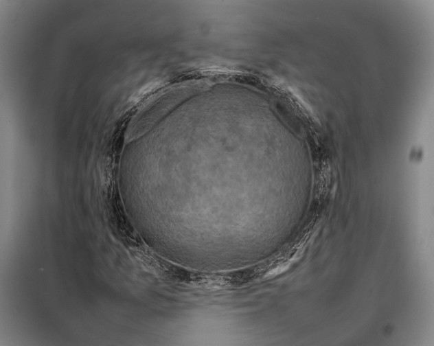 X0000097921157200804041518