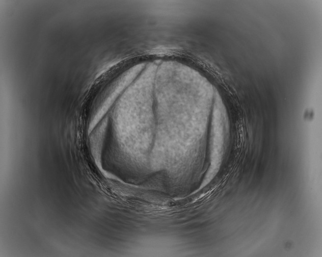 X0000097921158200804041518