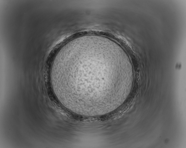 X0000097921159200804041518