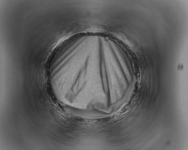 X0000097921160200804041518