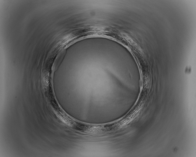 X0000097921161200804041518