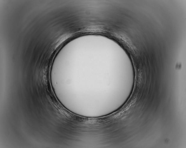 X0000097921162200804041518