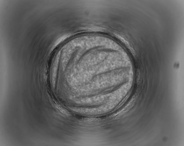 X0000097921163200804041518