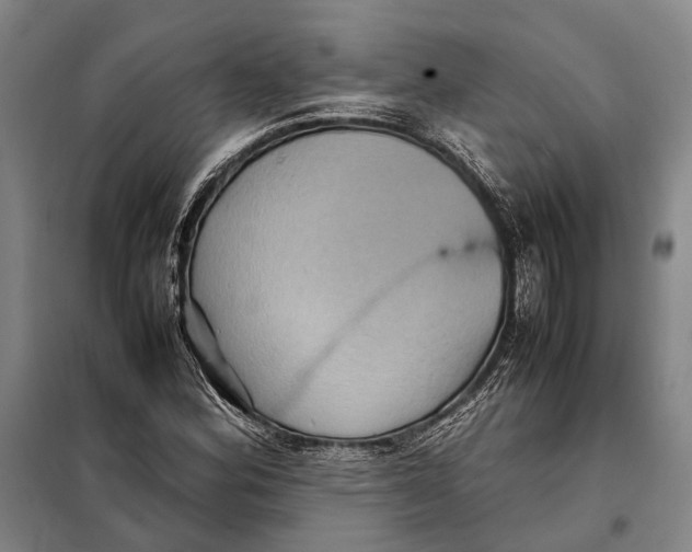 X0000097921164200804041518