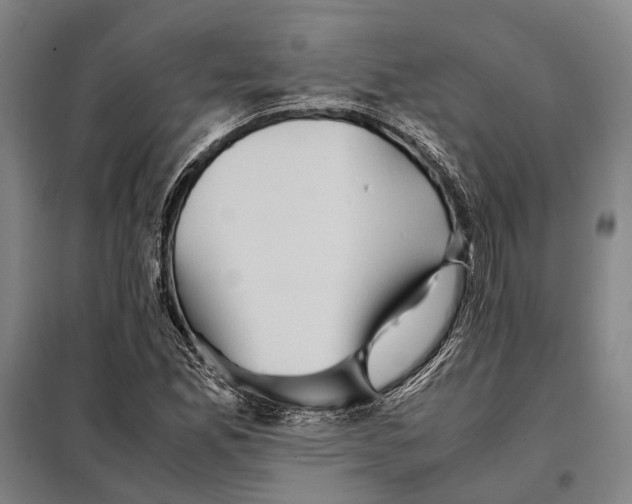 X0000097921165200804041517