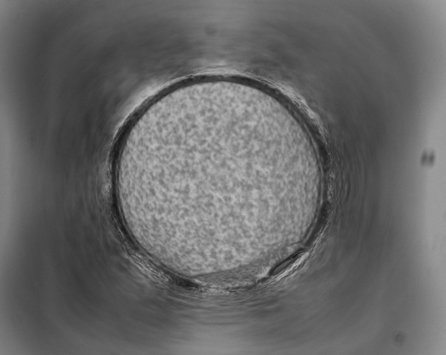 X0000097921167200804041517