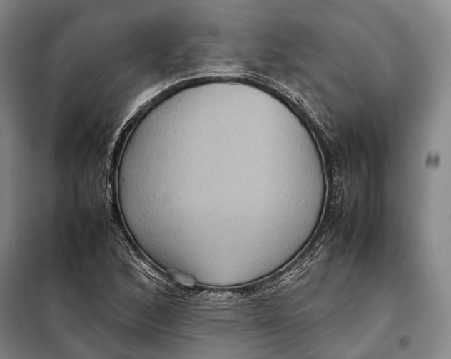 X0000097921168200804041517