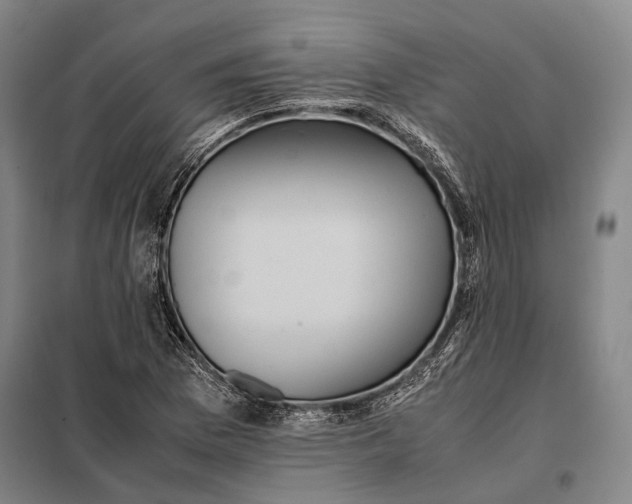 X0000097921169200804041517