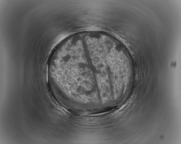 X0000097921171200804041517