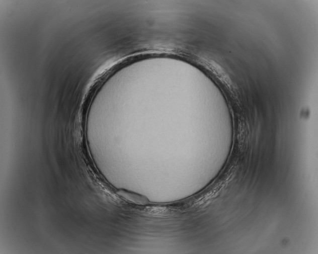 X0000097921172200804041517