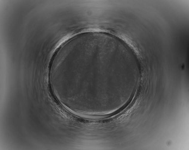 X0000097921173200804041517