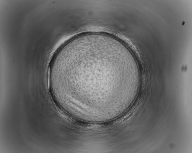 X0000097921175200804041517