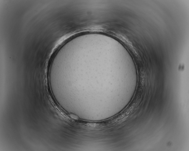 X0000097921176200804041517