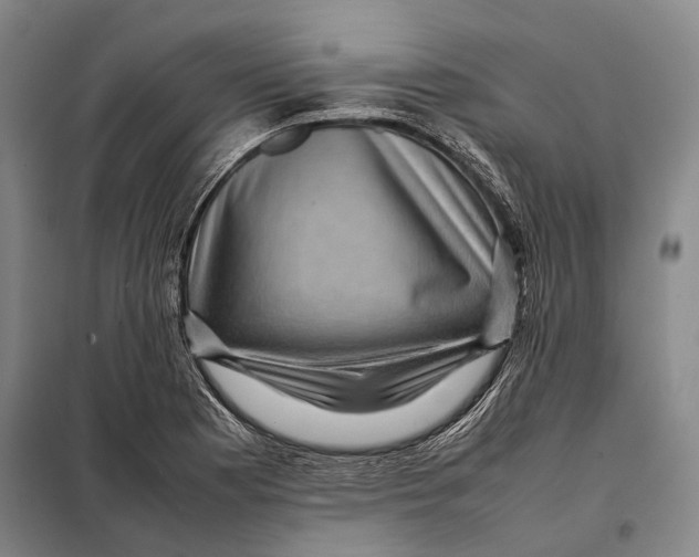 X0000097921177200804041517