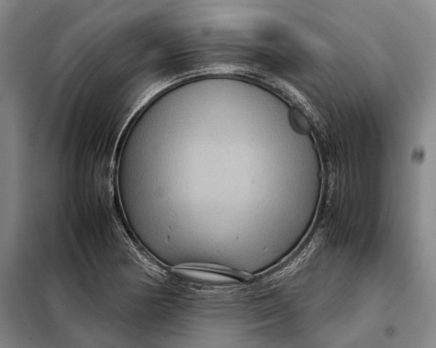 X0000097921178200804041517